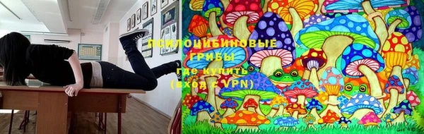 молекула духа Балахна