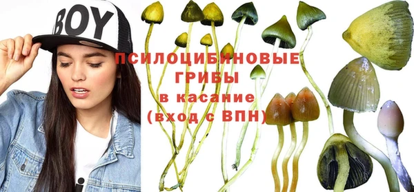 соль ск Алексин