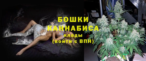 соль ск Дмитровск